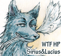 WTF HP Sirius&Lucius 2018 Баннер